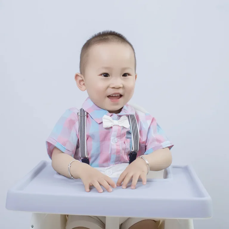 antilop highchair tray cover